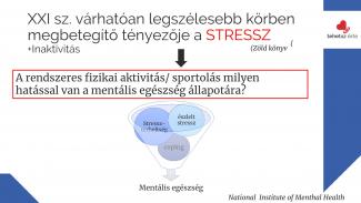 Dr. Petrovszki Zita - Sporttal a stressz ellen