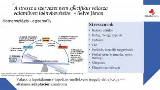 Dr. Petrovszki Zita - Sporttal a stressz ellen