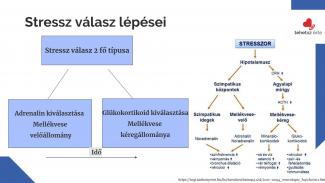 Dr. Petrovszki Zita - Sporttal a stressz ellen