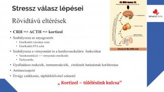 Dr. Petrovszki Zita - Sporttal a stressz ellen