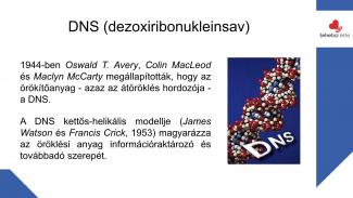 Dr. Szász András - Sport hatása az örökítőanyagra