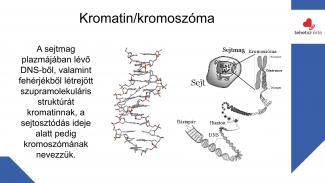 Dr. Szász András - Sport hatása az örökítőanyagra