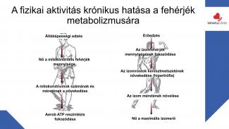 Dr. Szász András - Sport hatása az örökítőanyagra