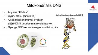 Dr. Szász András - Sport hatása az örökítőanyagra