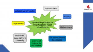 Dr. Szász András - Sport hatása az örökítőanyagra