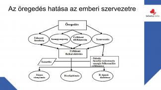 Dr. Szász András - Sport hatása az örökítőanyagra