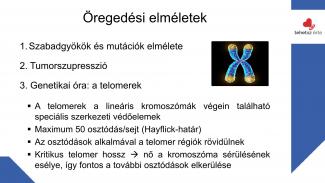 Dr. Szász András - Sport hatása az örökítőanyagra