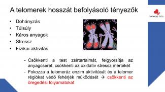 Dr. Szász András - Sport hatása az örökítőanyagra
