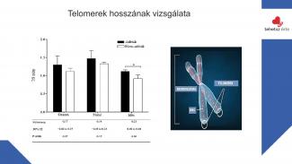 Dr. Szász András - Sport hatása az örökítőanyagra