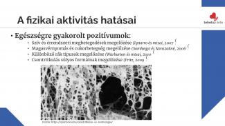 Dr. Berki Tamás - Fizikai aktivitás jelentősége napjainkban