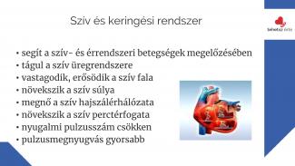 Dr. Szabó Eszter - A rendszeres sportolás hatása a szervezetre