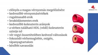Dr. Szabó Eszter - A rendszeres sportolás hatása a szervezetre