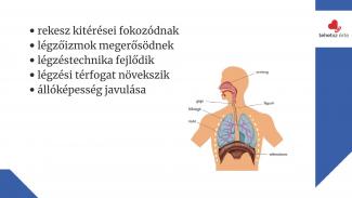 Dr. Szabó Eszter - A rendszeres sportolás hatása a szervezetre