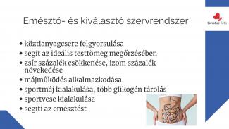 Dr. Szabó Eszter - A rendszeres sportolás hatása a szervezetre