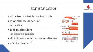 Dr. Szabó Eszter - A rendszeres sportolás hatása a szervezetre