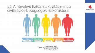 Dr. Győri Ferenc - Egészségfejlesztő fizikai aktivitás a számok tükrében