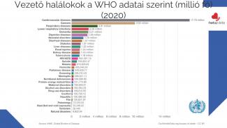 Dr. Győri Ferenc - Egészségfejlesztő fizikai aktivitás a számok tükrében