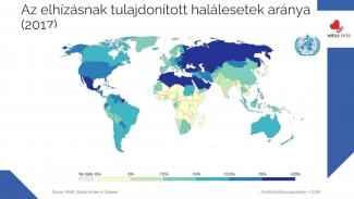 Dr. Győri Ferenc - Egészségfejlesztő fizikai aktivitás a számok tükrében