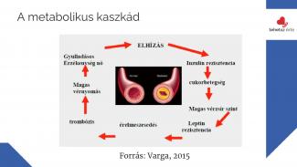 Dr. Győri Ferenc - Egészségfejlesztő fizikai aktivitás a számok tükrében