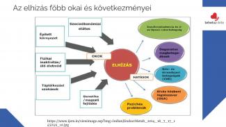 Dr. Győri Ferenc - Egészségfejlesztő fizikai aktivitás a számok tükrében