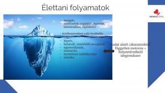Dr. Joó Gabriella - Tudat alatti egészség - élettani alapok az egészségtudatossághoz