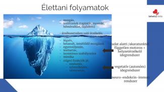 Dr. Joó Gabriella - Tudat alatti egészség - élettani alapok az egészségtudatossághoz