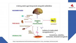 Dr. Joó Gabriella - Tudat alatti egészség - élettani alapok az egészségtudatossághoz
