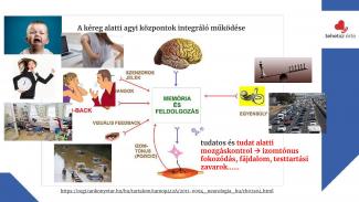 Dr. Joó Gabriella - Tudat alatti egészség - élettani alapok az egészségtudatossághoz