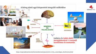 Dr. Joó Gabriella - Tudat alatti egészség - élettani alapok az egészségtudatossághoz