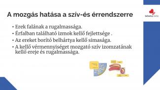 Dr. Hidvégi Péter - A rendszeres testmozgás egészségre gyakorolt hatásai