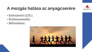 Dr. Hidvégi Péter - A rendszeres testmozgás egészségre gyakorolt hatásai