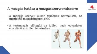Dr. Hidvégi Péter - A rendszeres testmozgás egészségre gyakorolt hatásai
