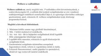 Hézsőné Böröcz Andrea - Wellness - a szabadidő kellemes eltöltése