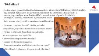 Hézsőné Böröcz Andrea - Wellness - a szabadidő kellemes eltöltése
