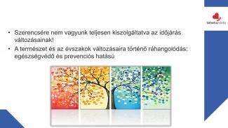 Kocsis-Fuszkó Zita - Lélekfestés - A természet és a lelki életünk kapcsolódása