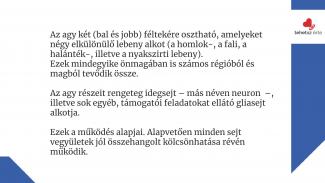 Koczka-Kiss Ilona - Prevenció és egészségtudatosság