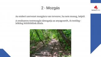 Nagy-Varga Renáta - Egészséges életmód